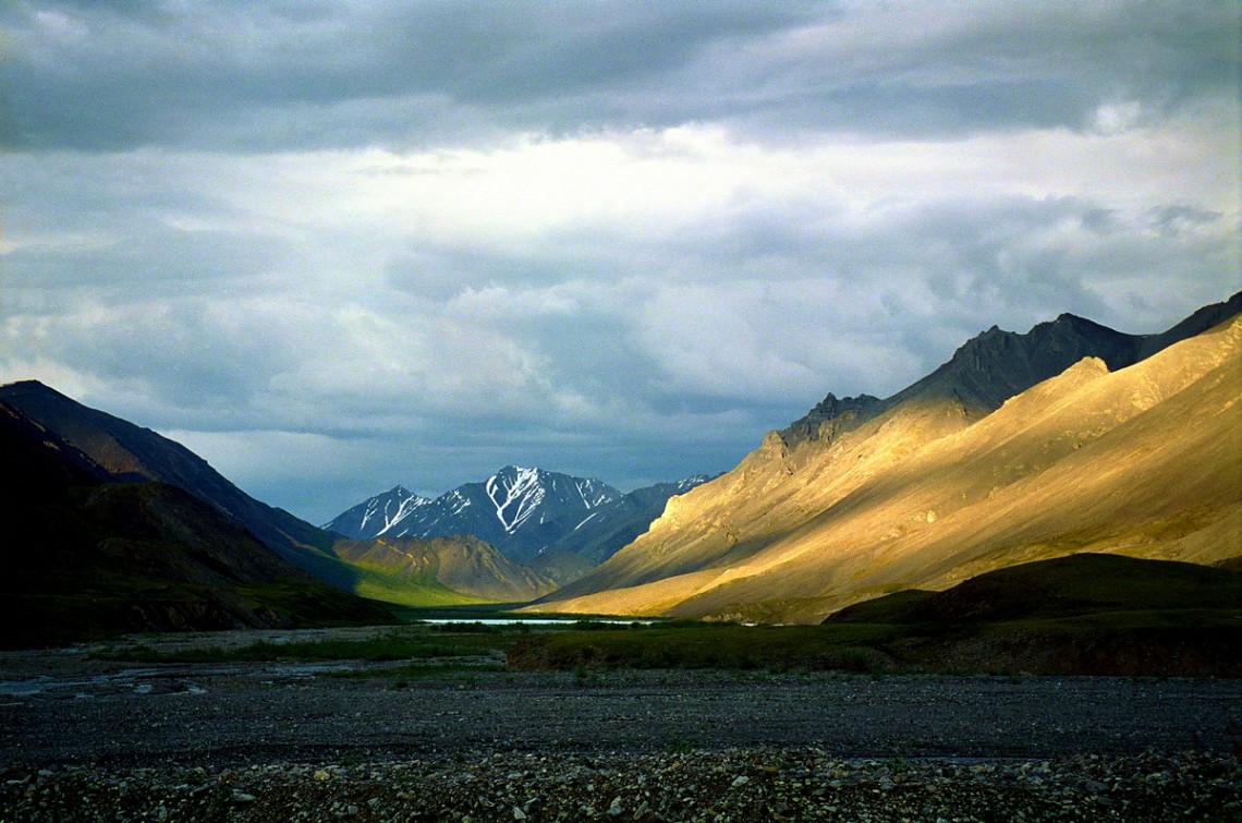 The Wicked Problem of Oil Extraction in ANWR | Annie Fang Portfolio