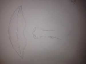 unnamed