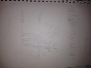 unnamed22