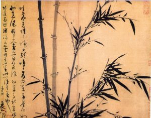 Images-Bamboo
