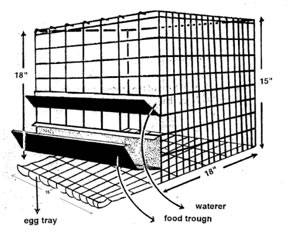 Conventional cages