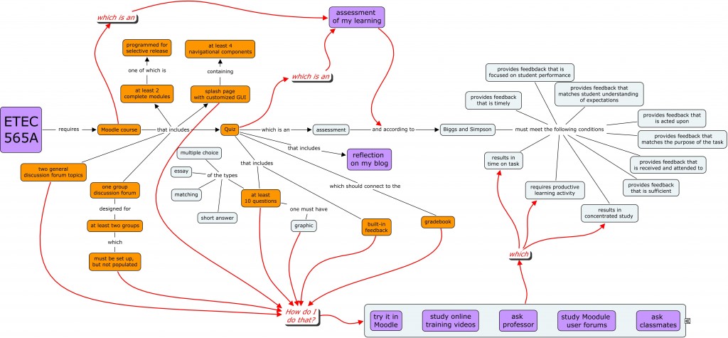 Concept map depicting assessment process