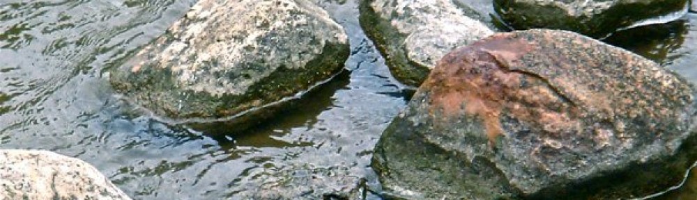 Stones in shallow running water.