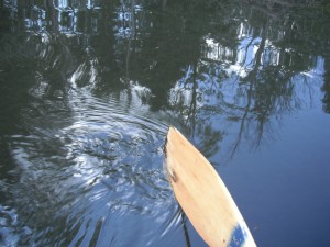 Wooden paddle in lake 