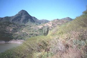 The Mountains of Sierra Madre