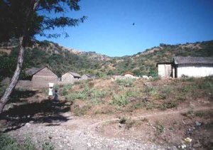 A Huichol Village