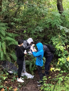 Students collecting samples