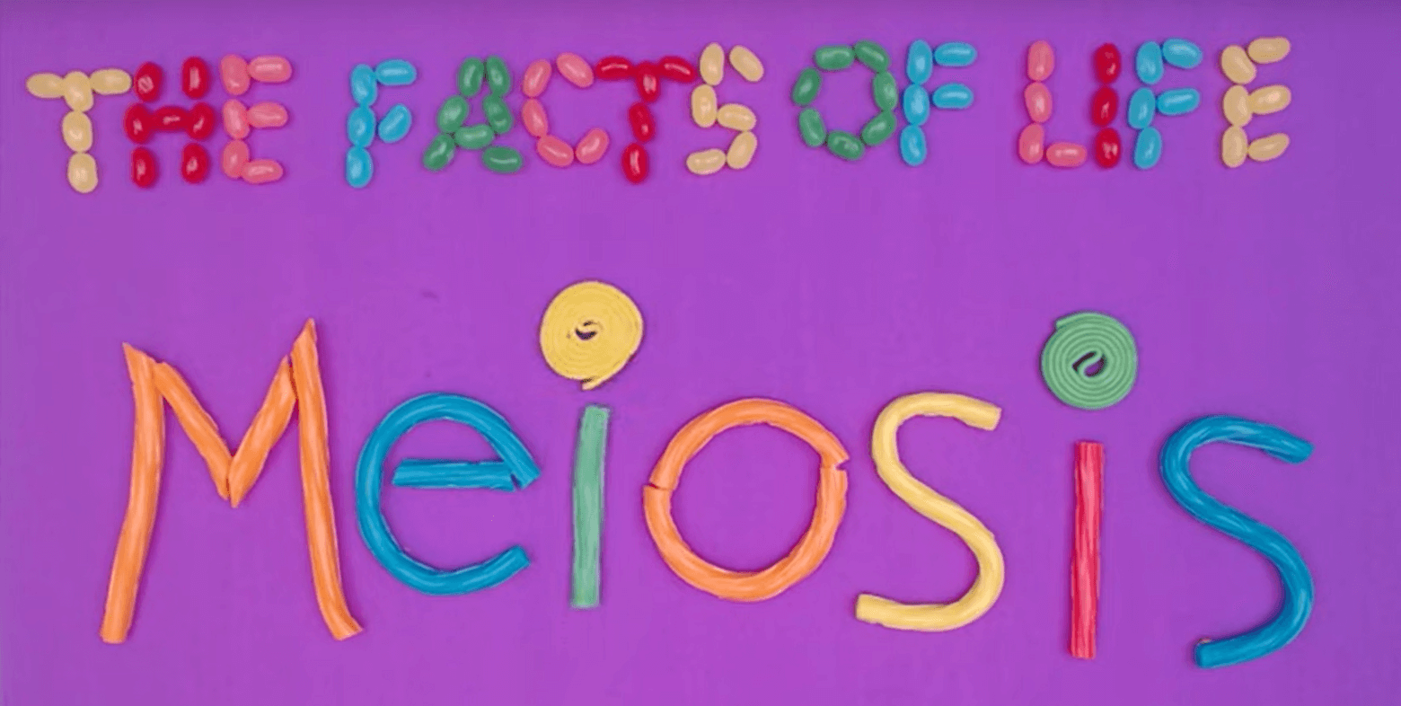 Title image of one of the videos that reads "The facts of life: Meiosis"