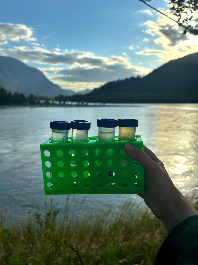 Test tube samples in a rack with a body of water and mountains in the background