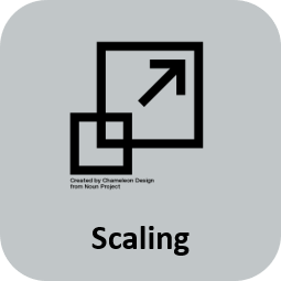 Scaling icon
