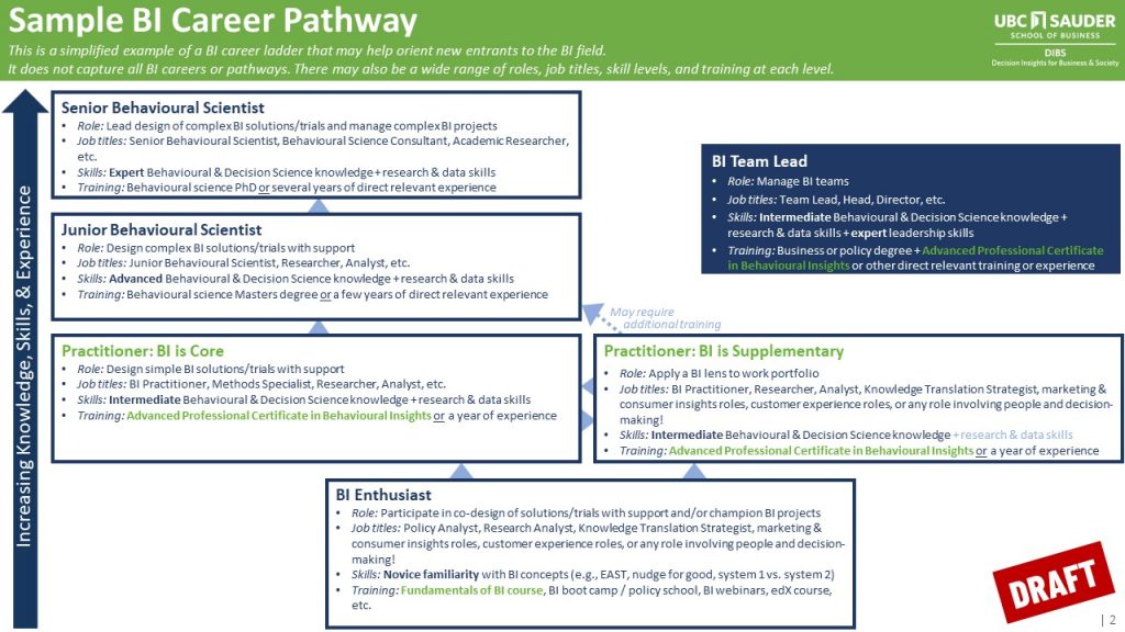 Sample BI career pathway infographic (PDF available)