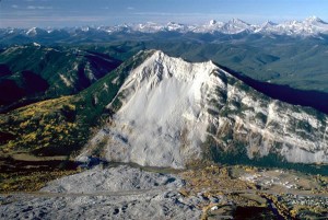 fig_1_land_frank_slide_1