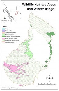 wildlife habitat areas and winter range