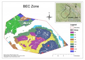 BEC Zone