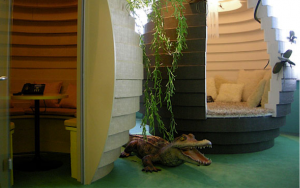 Blog 9 Pic