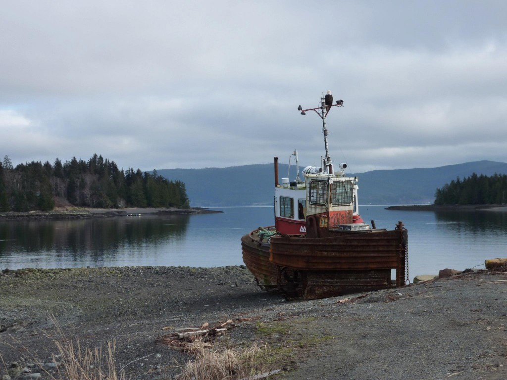 Low tide in the Narrows near Queen Charlotte CIty