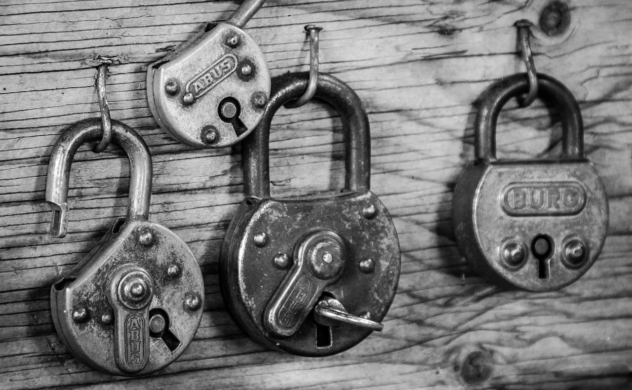 black and white photo of several old and rusty padlocks, one open and the rest closed