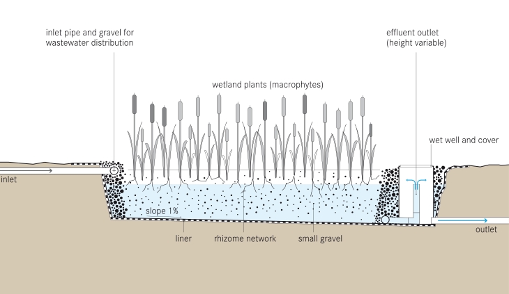 tilley_et_al_2014_schematic_of_the_vertical_flow_constructed_wetland