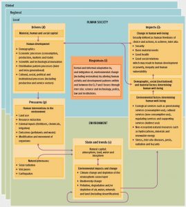 DPSIR framework