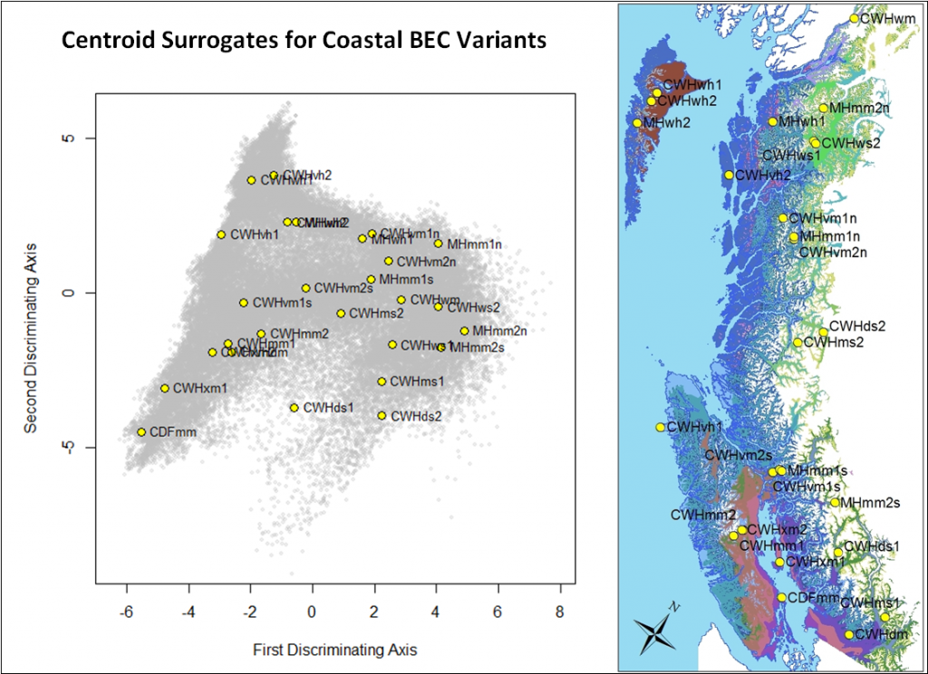 centroid surrogates for coastal BEC variants