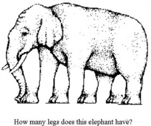 Elephant assumptions