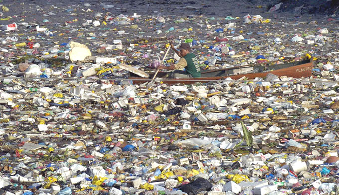 2014-04-08-OceanPlasticsEarthDrReeseHalter