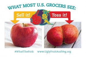 what the fork indeed