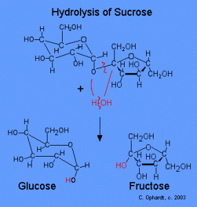 Hydrolysis of Sucrose to form Glucose and Fructose Image Credit: Charles E Ophardt http://chemistry.elmhurst.edu/vchembook/548toothdecay.html