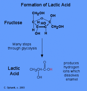 Formation of Lactic Acid from Fructose via Glycolysis. Image Credit: Charles E Ophardt http://chemistry.elmhurst.edu/vchembook/548toothdecay.html