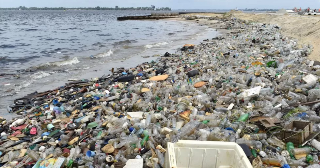 Plastic waste along the shoreline. 
