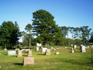 Trees in cemetery. Image from  Rootsweb.