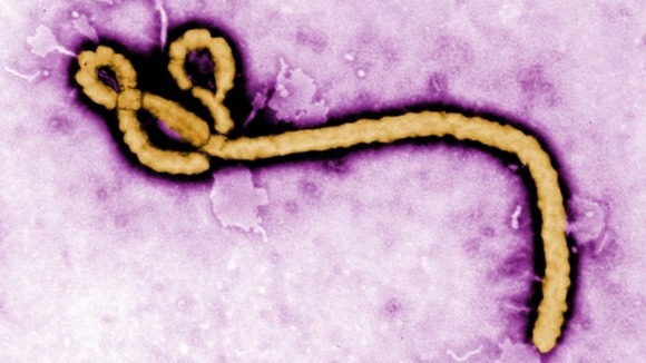 Why Ebola Is So Dangerous Communicating Science 14w112