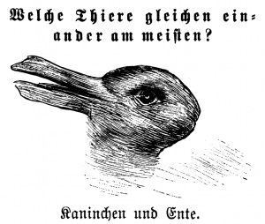Kaninchen_und_Ente