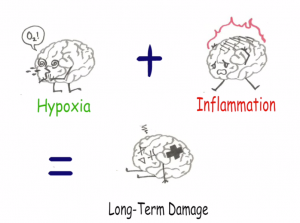 hypoxia plus inflammation