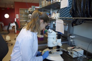 Dr. Celine Caseys in her lab. Photo by Alex B.