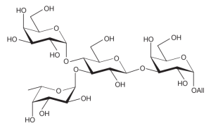 Branched Oligosaccharide Structure