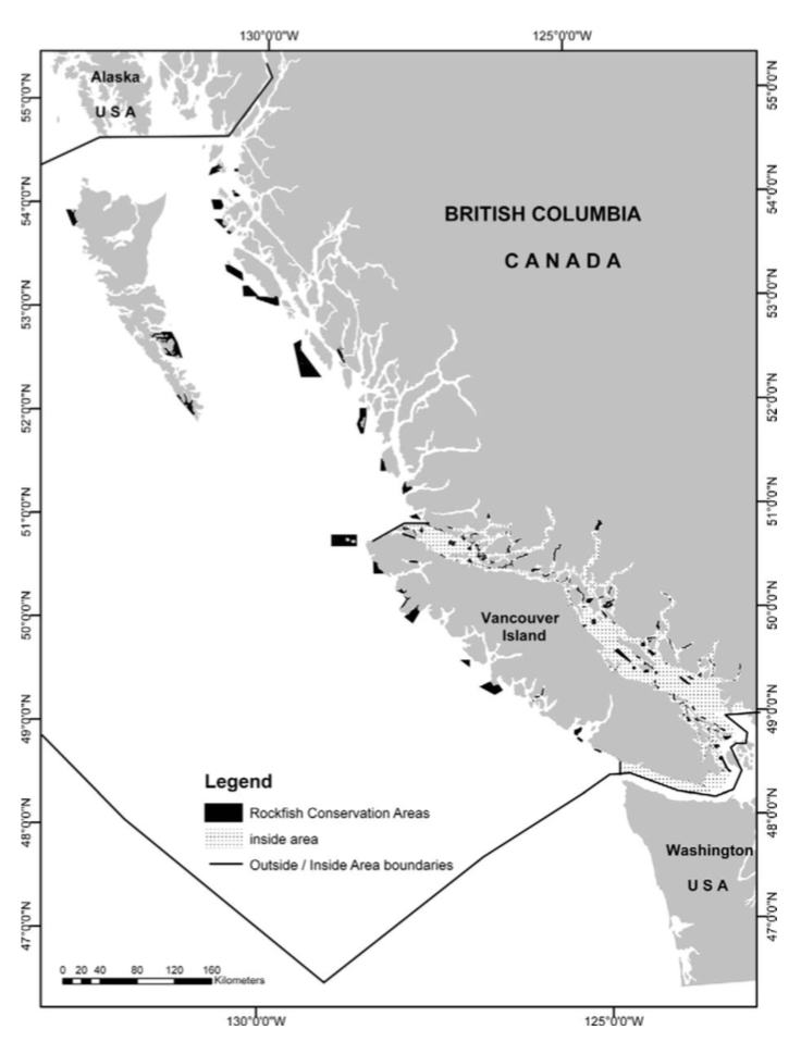 The distribution of rockfish conservation areas along the coast of British Columbia. 