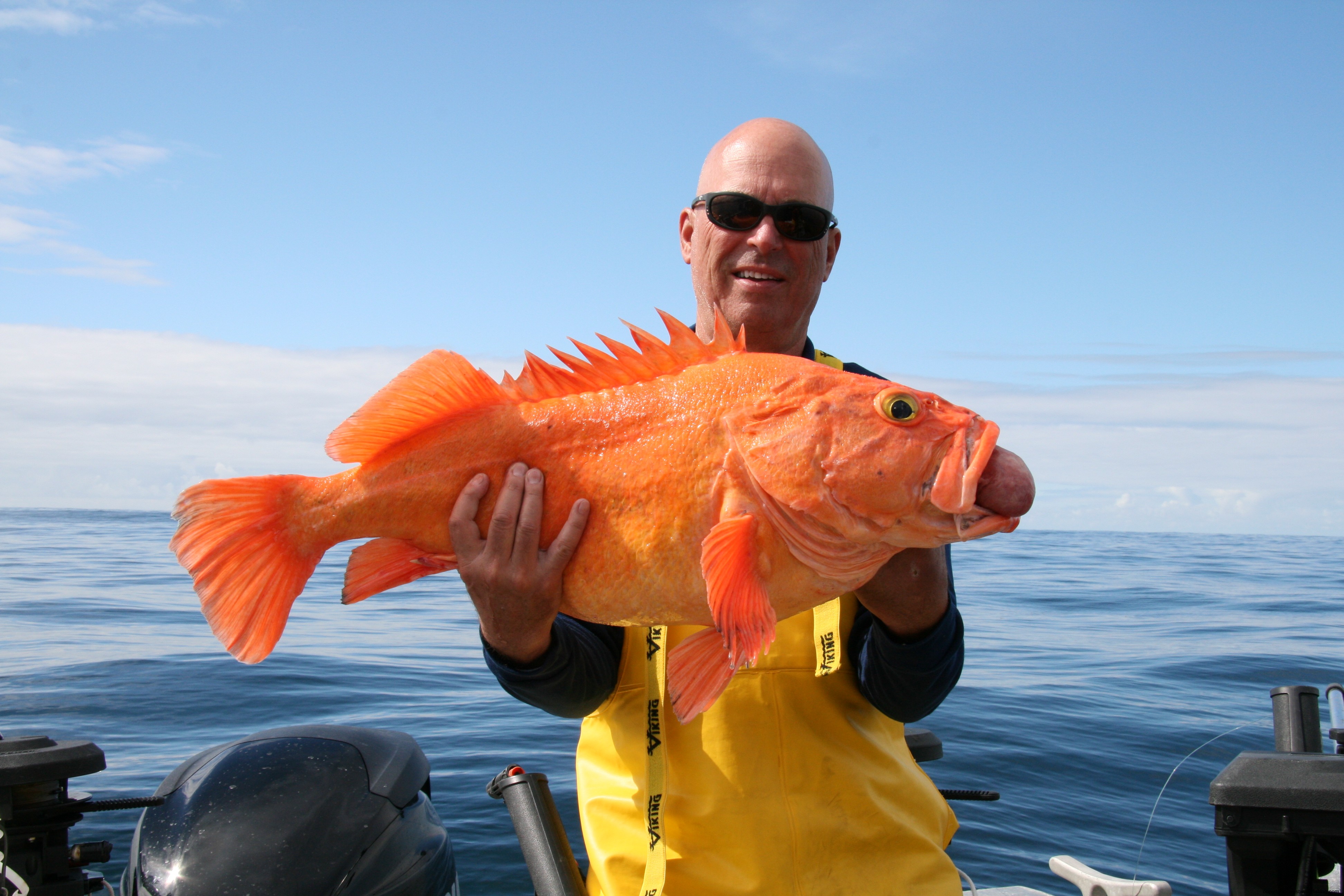 A large yelloweye rockfish (approximately 30 lbs.) caught on the Queen Charlotte Islands, BC. 