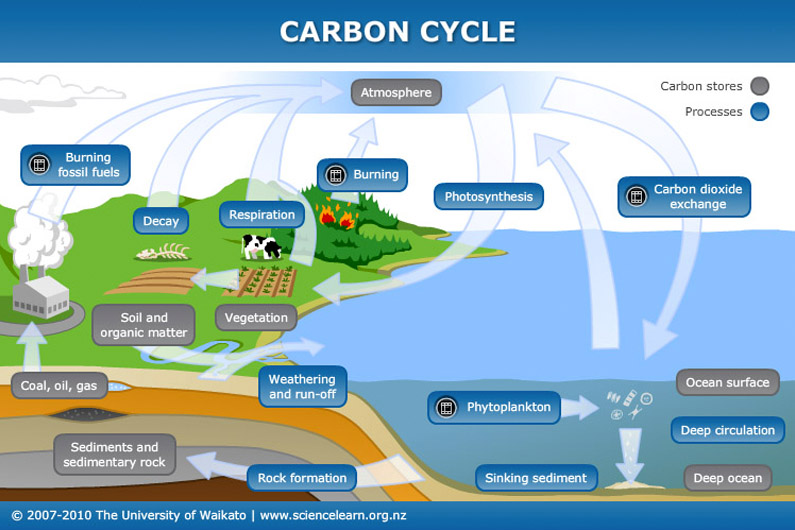 How Does Carbon Dioxide Cycle Through the Oceans? Communicating