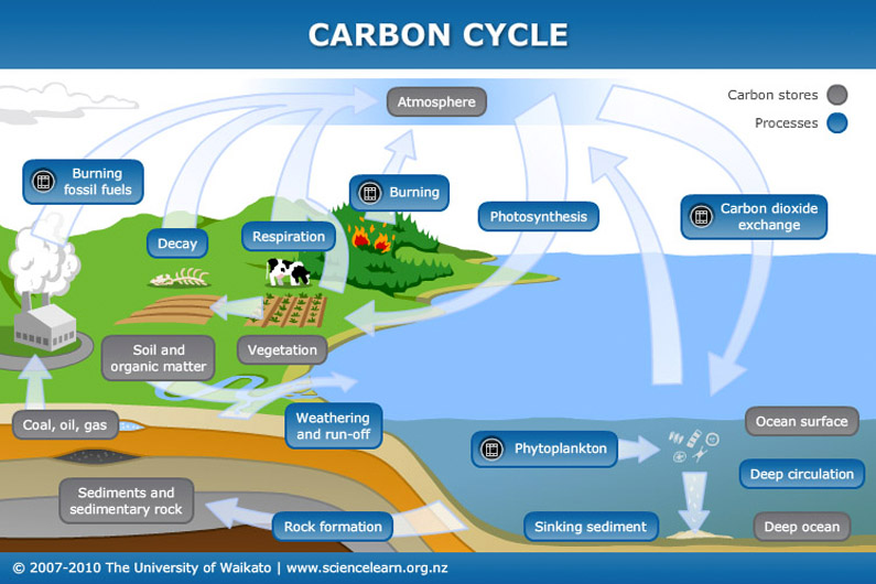 carbon dioxide travel through