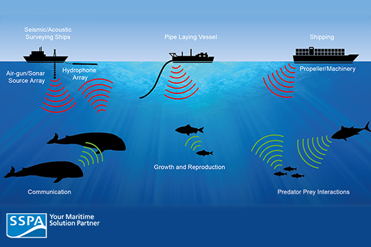 The effects of human-generated sound on marine mammals | Communicating