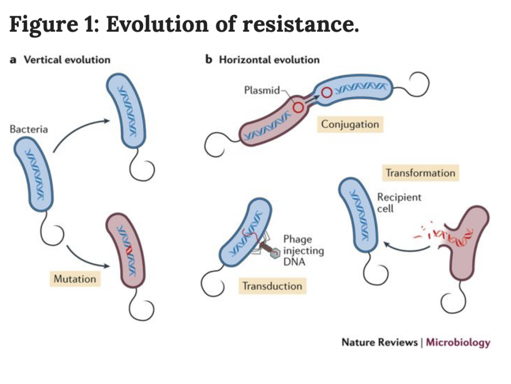 Reversing Antibiotic Resistance The Enemy Of Society Communicating 7641