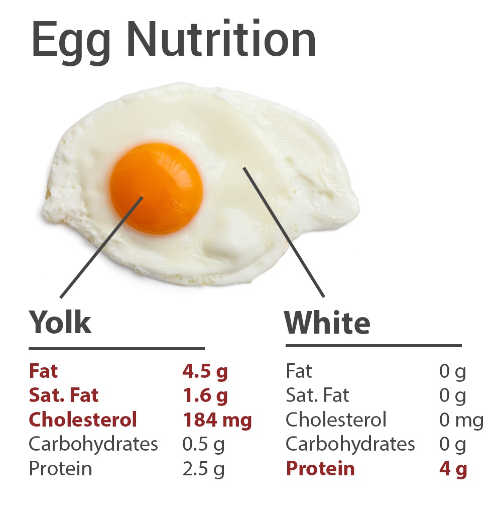 5 ways to eat eggs bad for your health | Communicating Science (2018w112)