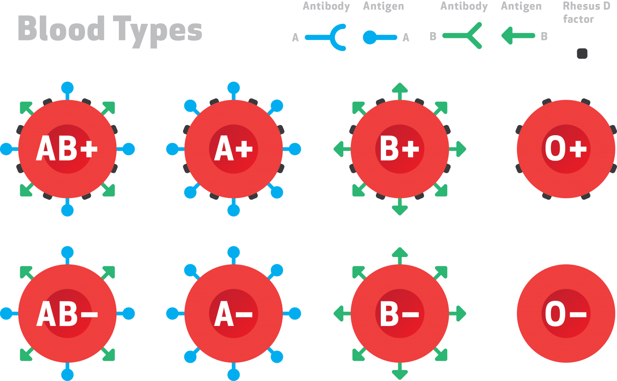 a-solution-to-blood-shortage-in-our-guts-communicating-science