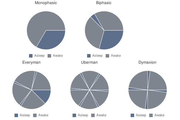The Science Behind The Polyphasic Sleep Schedule Communicating 
