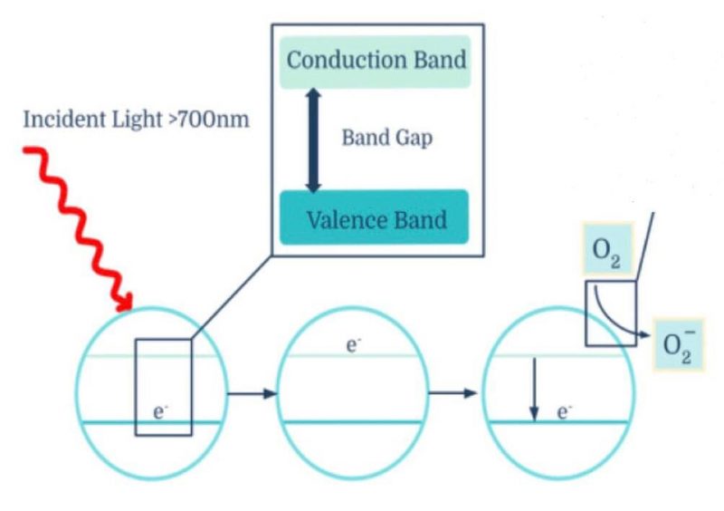 Nanotechnology Scie 300 2021 Term 2 Section 212