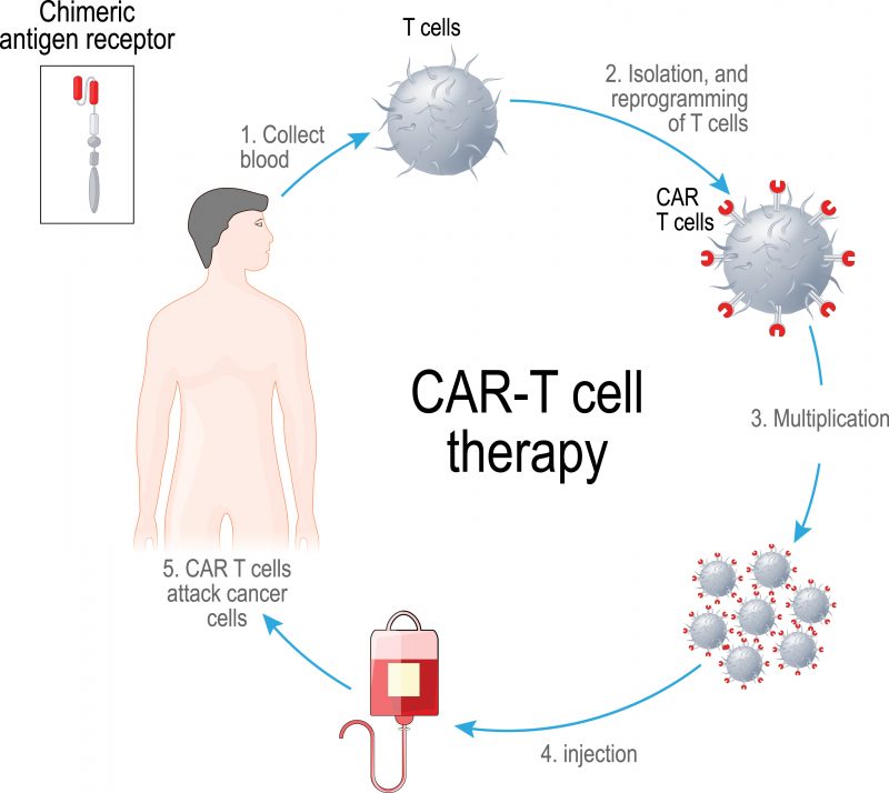 Cancer Therapy Breakthroughs In Cancer Cell Research And Treatment