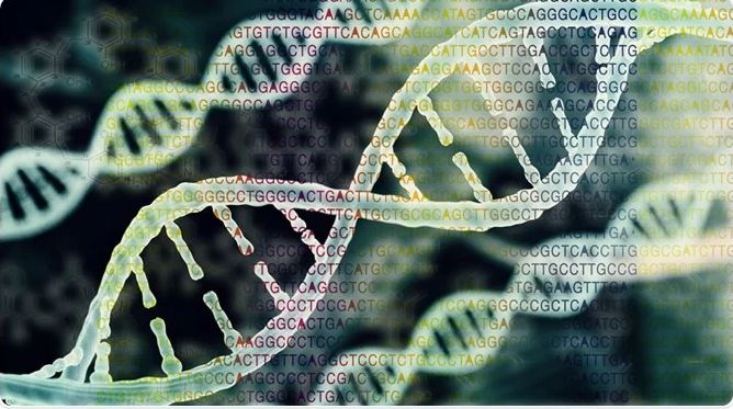 Dna Scie 300 2021 Term 2 Section 212