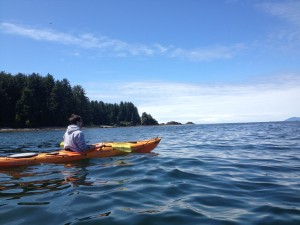 Kayaking of the shore of Atkis Island.