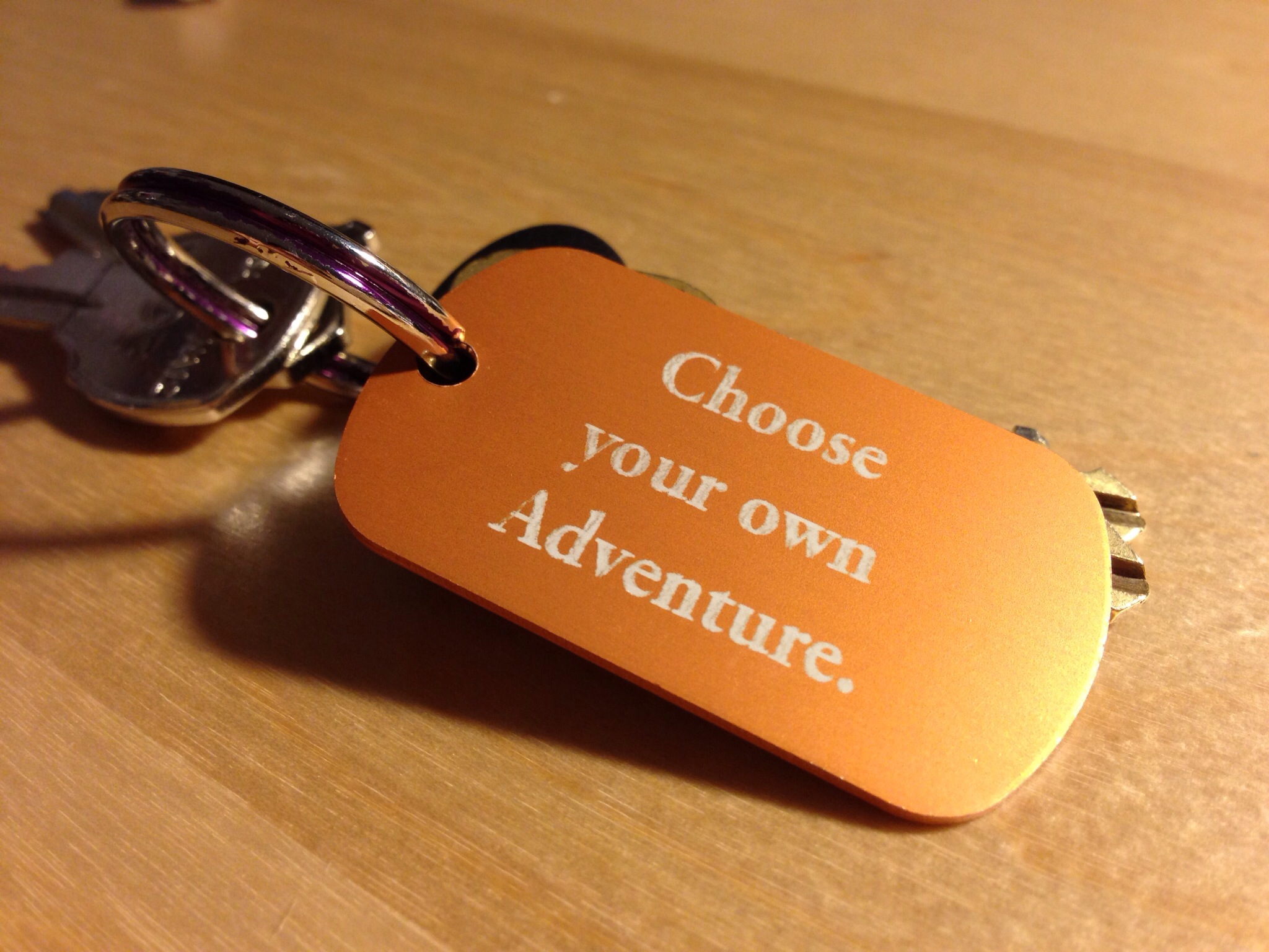 Choose Your Own Adventure Meaning